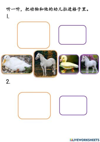 动物和他的幼儿