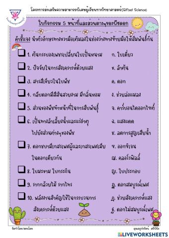 รวมหน้าที่และส่วนประกอบของดอก