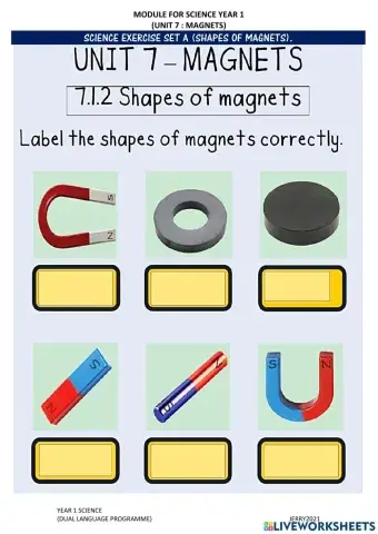 Science Year 1 Types Of Magnet