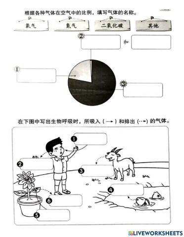 二年级科学单元九 空气