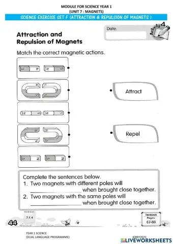 Science Year 1 : Magnet Repel & Attract