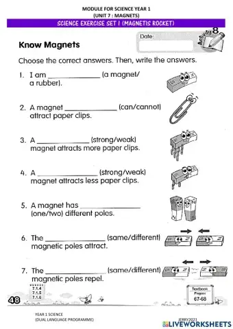 Science Year 1 : I Am A Magnet