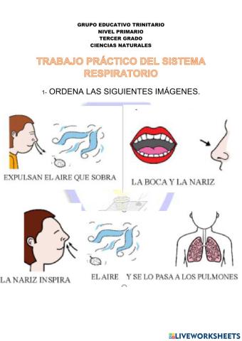 Trabajo práctico de Ciencias Naturales
