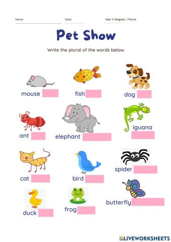Pet Show: Singular-Plural (2)