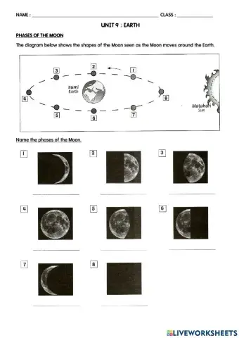 Phases of the moon
