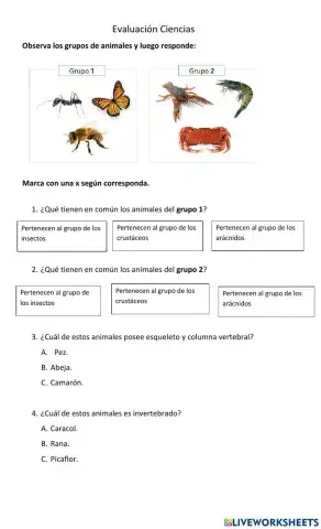 Animales vertebrados e invertebrados