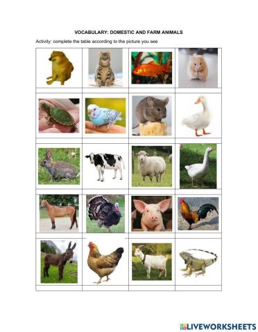 Vocabulary: domestic and farm animals