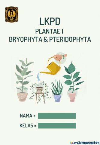 Plantae 1 - bryophyta &pteridophyta