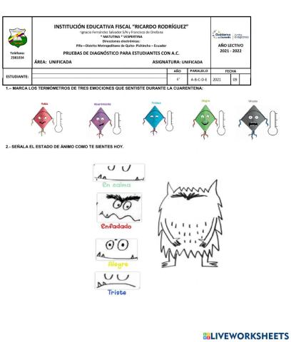 Evaluación diagnóstica ac