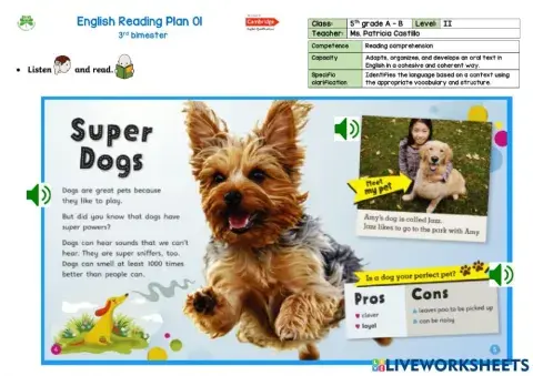 5th grade - Reading Comprehension