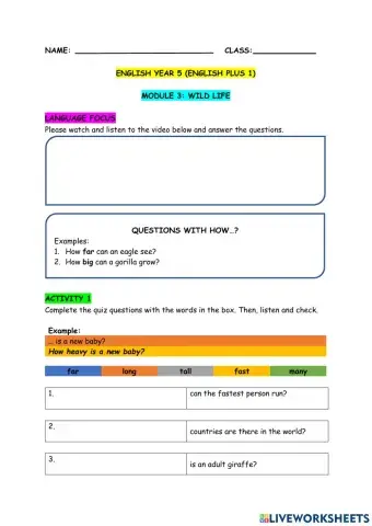 English plus 1 year 5