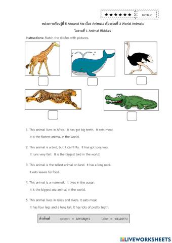 Worksheet 2 Animals