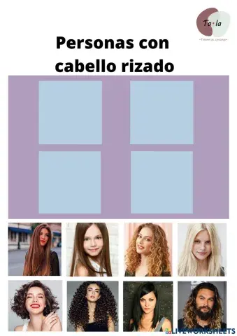 Descripción de cabello rizado