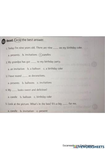 Past Simple activities