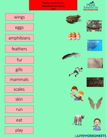 2° unit 1 vocabulary words