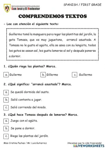 Comprensión de lectura