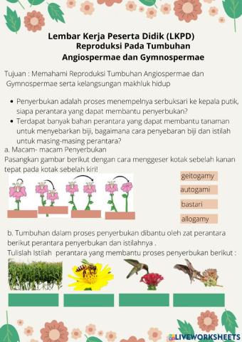 Tumbuhan angiospermae, gymnospermae, lumut dan paku