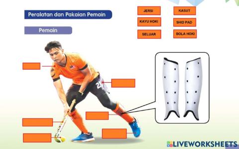 Pengenalan kepada hoki