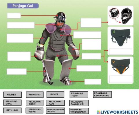 Pengenalan kepada hoki