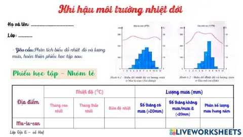 MT nhiệt đới nhóm lẻ
