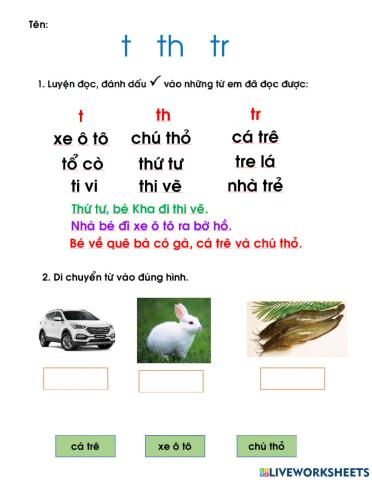 Bài ôn tập t th tr