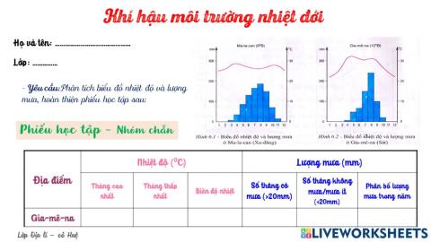 MT nhiệt đới nhóm chẵn