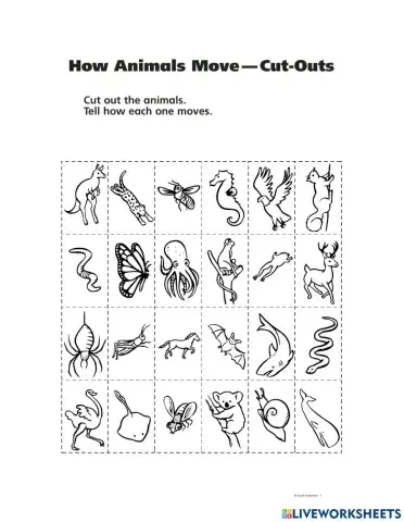 Vertebrates and Invertebrates