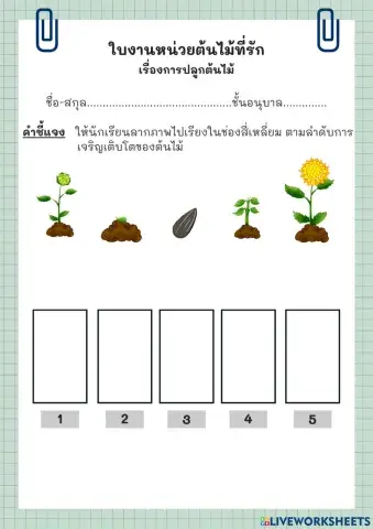 ใบกิจกรรมหน่วยต้นไม้ที่รัก เรื่องการปลูกต้นไม้