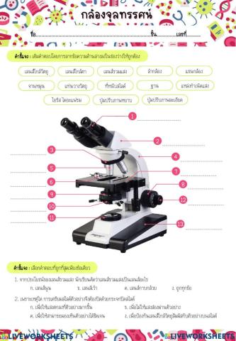 กล้องจุลทรรศน์