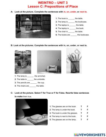 Weintro-unit 3-lesson c
