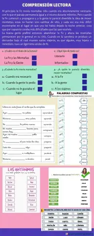 Comprensión Lectora