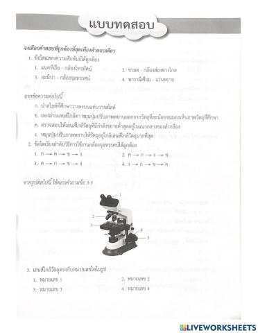 แบบทดสอบหน่วยสิ่งมีชีวิต