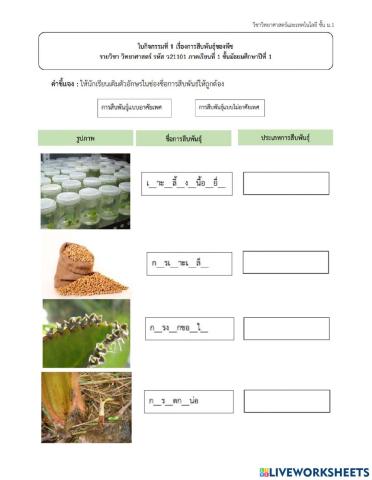 ม.1- การสืบพันธุ์พืชดอก