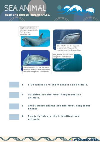 Sea animals - quiz