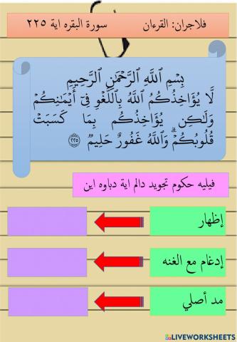 Surah Al-Baqarah Ayat 225