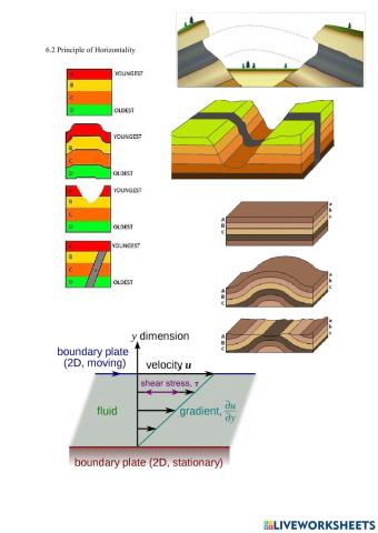 6.2 Principle of Horizontality