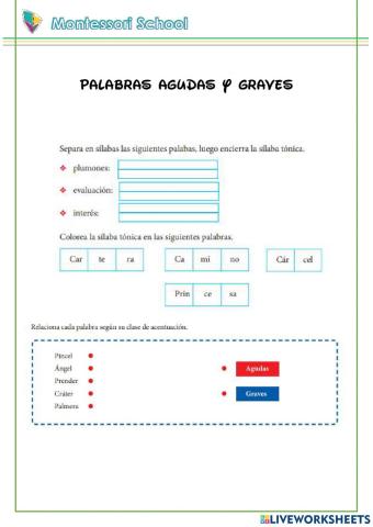 Palabras agudas y graves