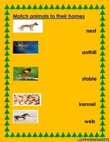 Match animals to their homes