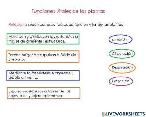 Funciones vitales de las plantas