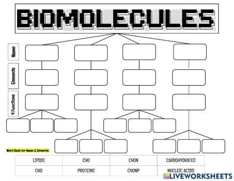 Biomolecules Review