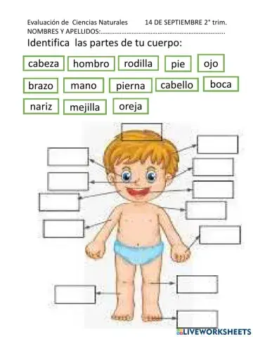 Evaluacion de ciencias naturales