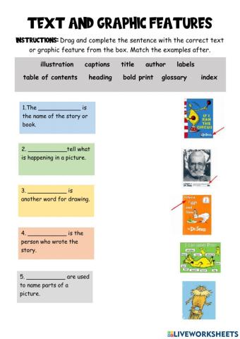 Text and Graphic Features