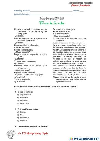 Lectura N° 01