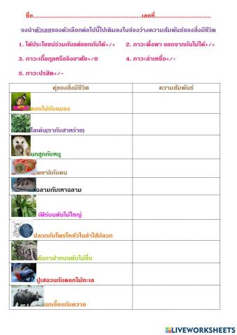 ความสัมพันธ์ของสิ่งมีชีวิต