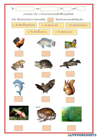 แบบทดสอบ  เรื่อง  การจำแนกสัตว์ที่มีกระดูกสันหลัง