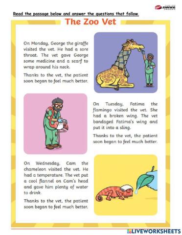 Comprehension - The Zoo Vet