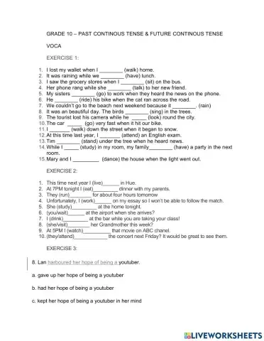 Past continuous & future continuous tense practise