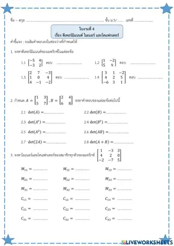 ใบงาน เมทริกซ์ 3