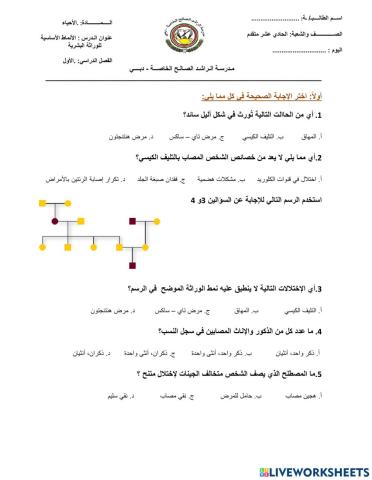 الأنماط الأساسية للوراثة البشرية