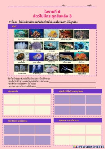 จำแนกสัตว์ 6